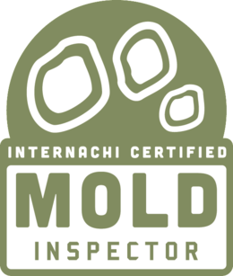 Mold Inspection & Testing