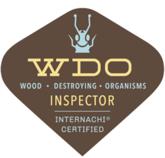 Wood Destroying Insect Inspection